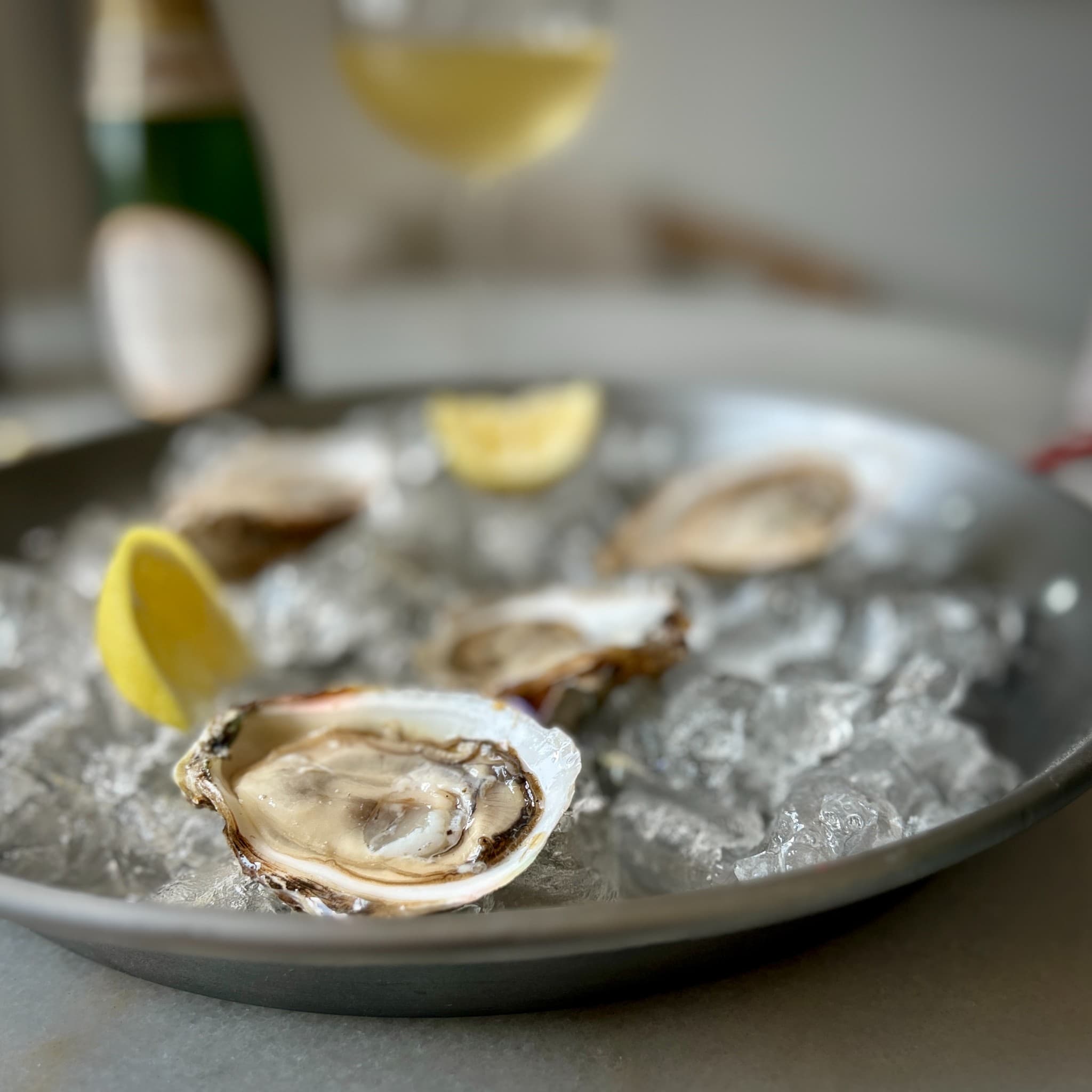 Oysters on ice with lemon and wine